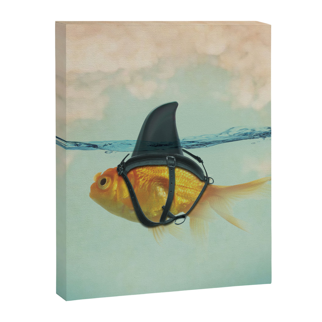 Brilliant Disguise (RM) Canvas Print Gallery Image 8