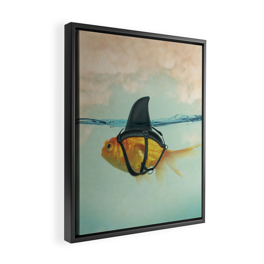 Brilliant Disguise (RM) Framed Canvas Print Gallery Image 2