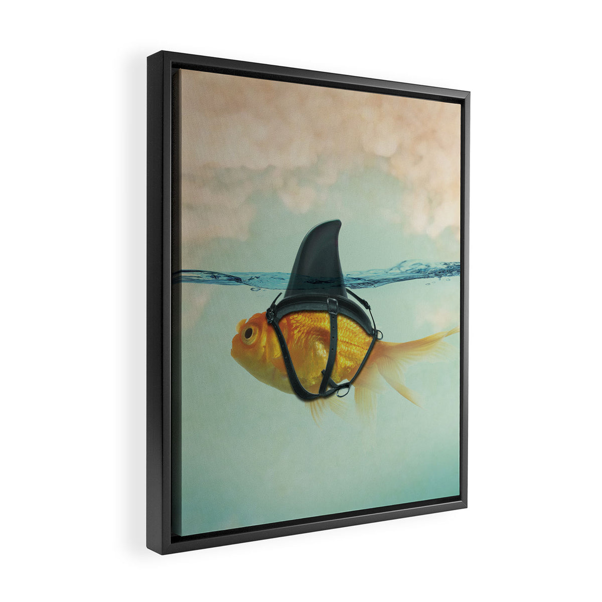 Brilliant Disguise (RM) Framed Canvas Print Gallery Image 2