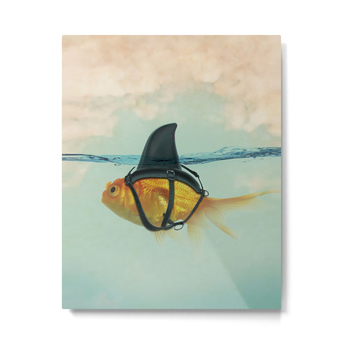 Brilliant Disguise (RM) Metal Print Gallery Image 1