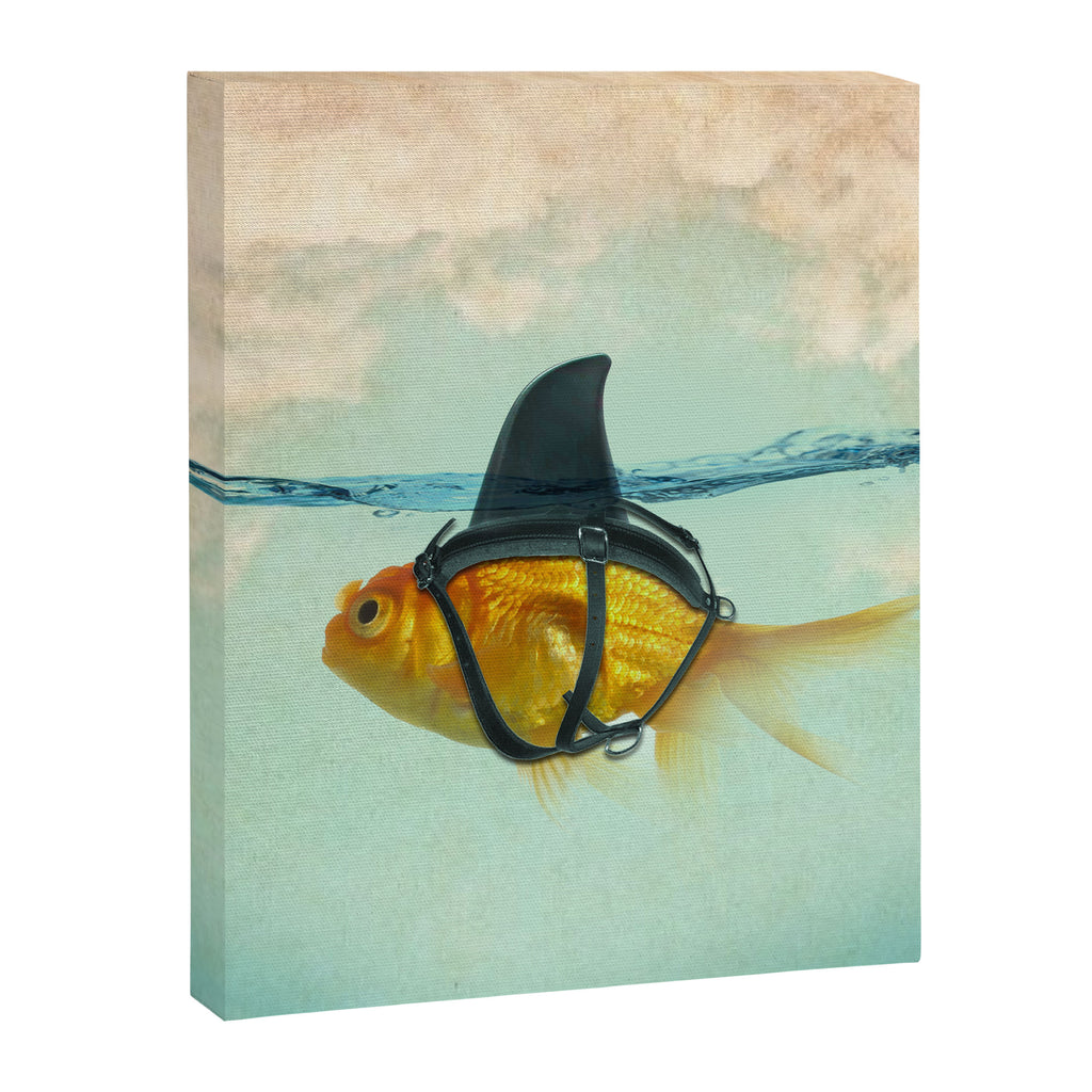 Brilliant Disguise Test Canvas Print Gallery Image 8