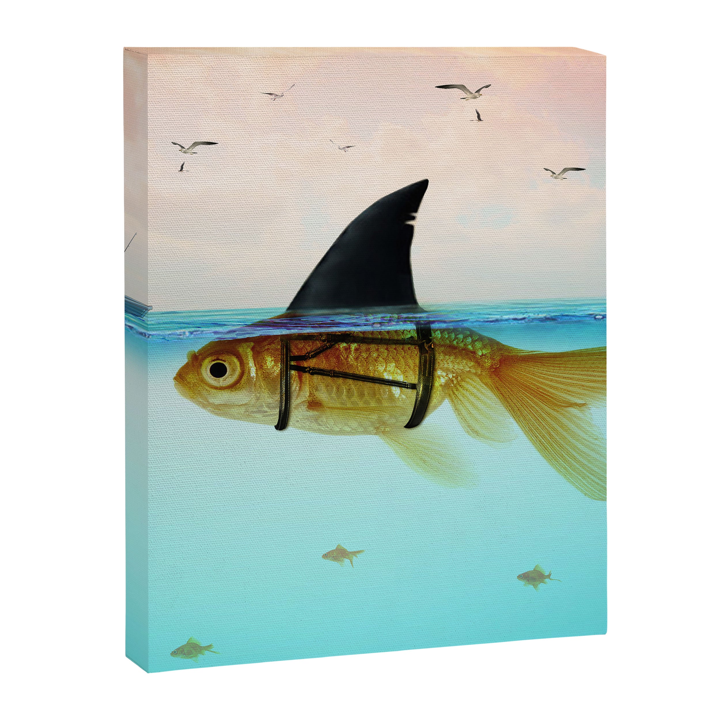 goldfish with a shark fin Canvas Print Gallery Image 8