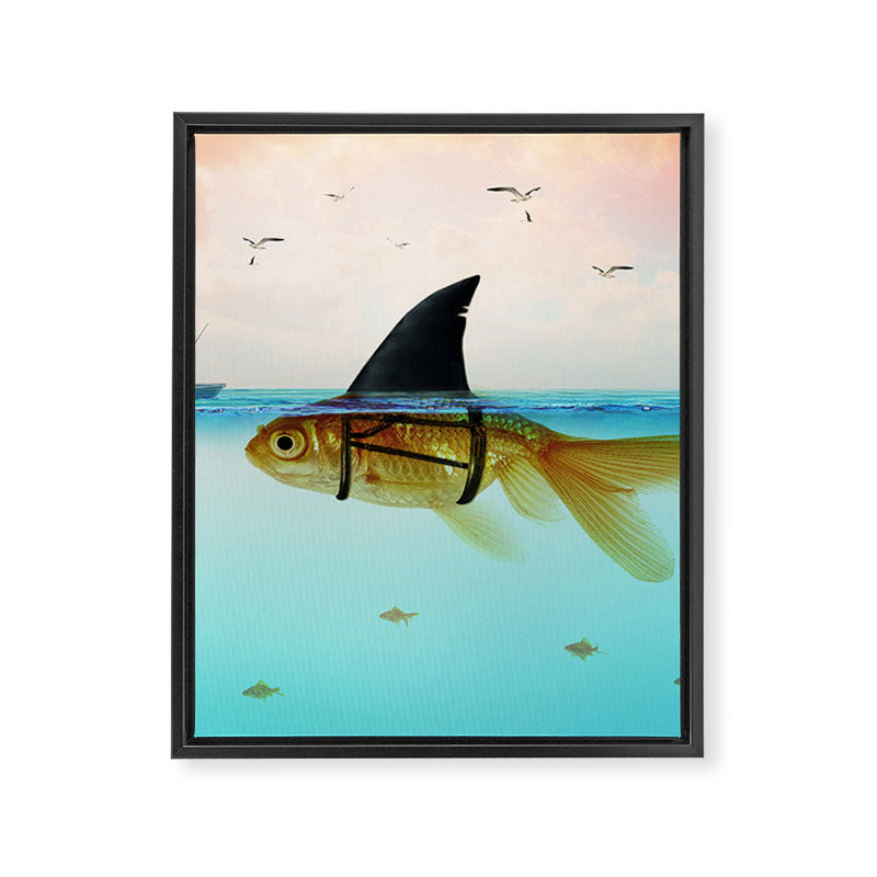 goldfish with a shark fin Framed Canvas Print Gallery Image 8