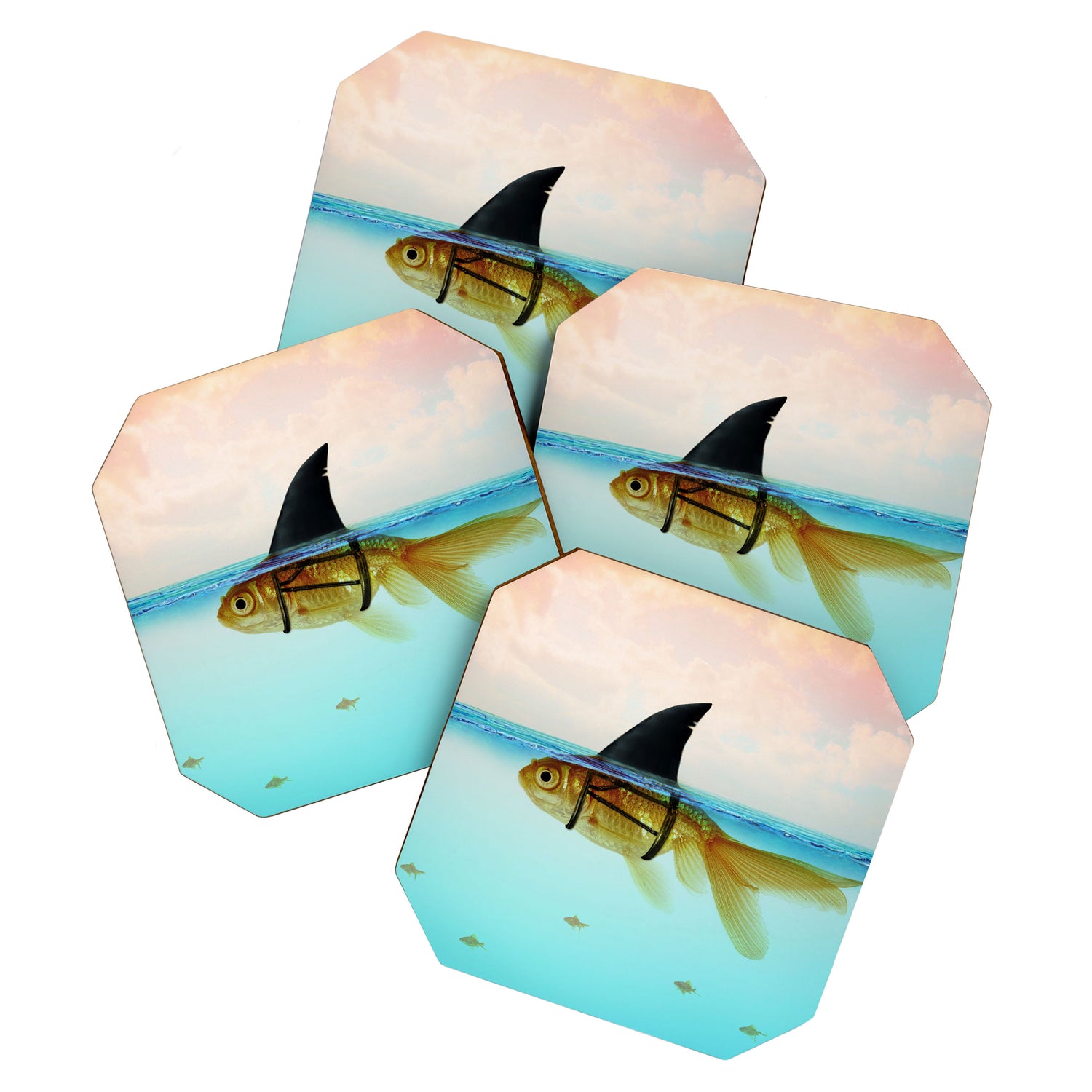 goldfish with a shark fin Coaster Gallery Image 1