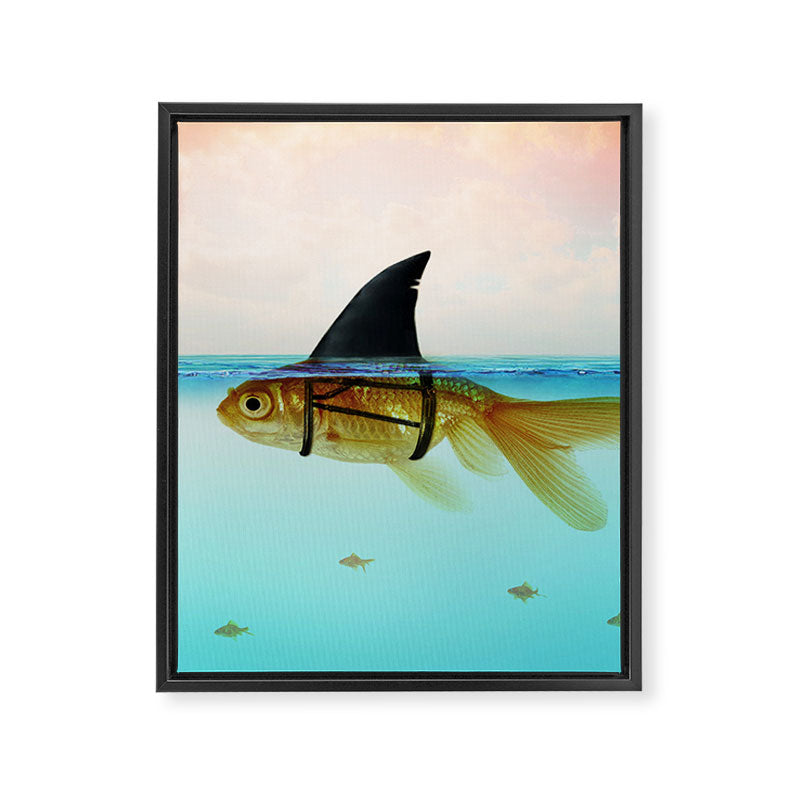 goldfish with a shark fin Framed Canvas Print Gallery Image 8
