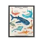 FANTASTIC SHARKS Framed Canvas Print Gallery Image 6