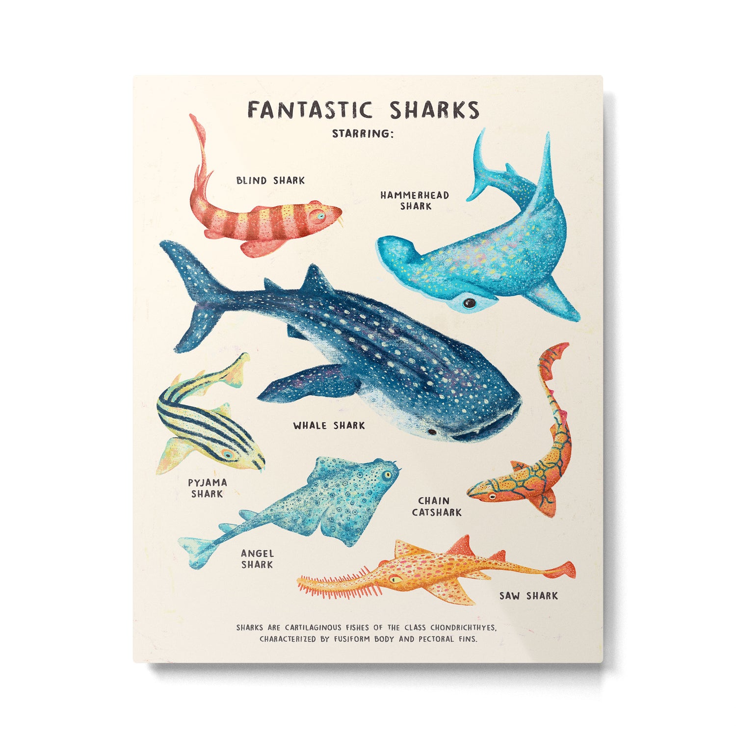 FANTASTIC SHARKS Metal Print Gallery Image 4
