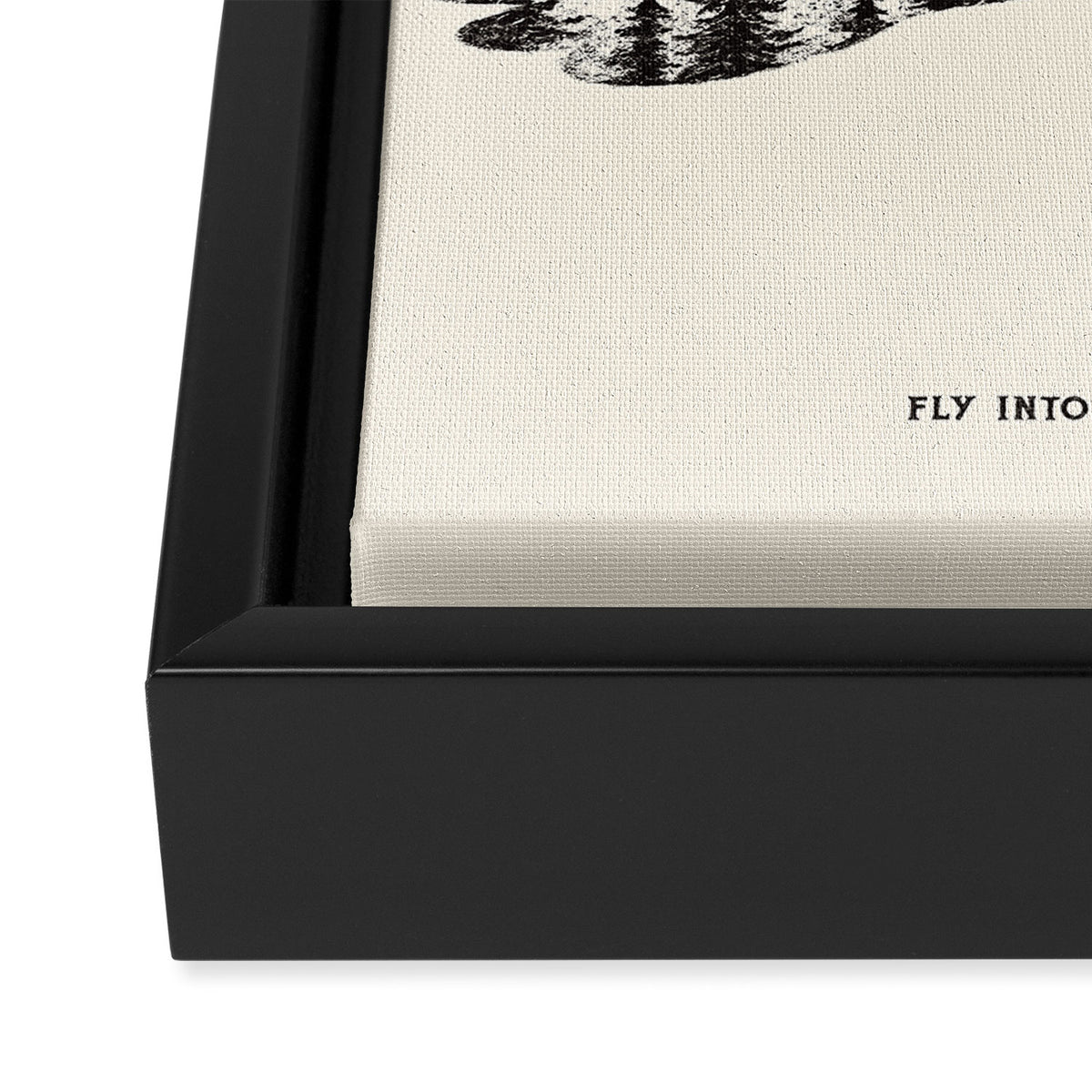 FLY INTO YOUR DREAM WORLD Framed Canvas Print Gallery Image 3