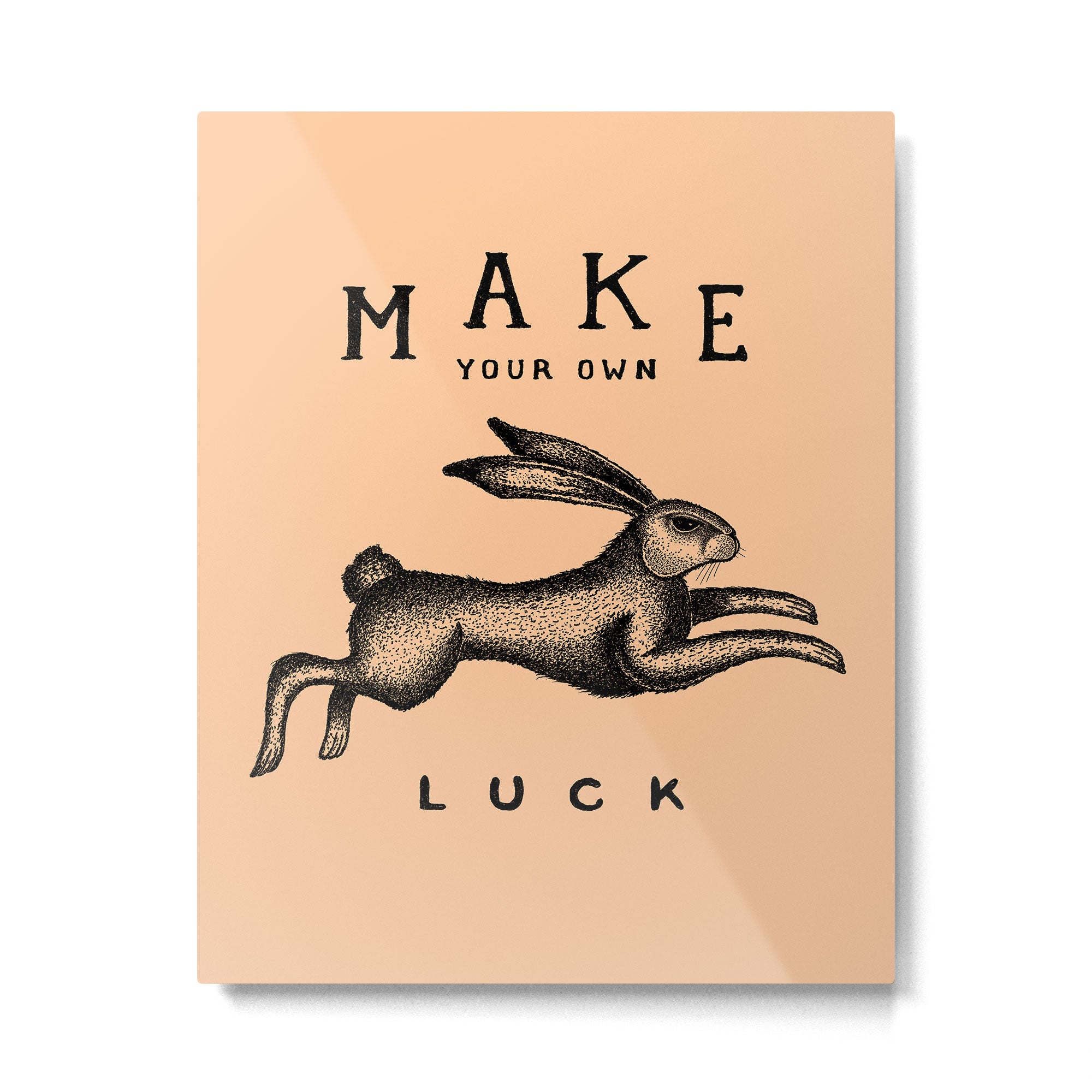 MAKE YOUR OWN LUCK (Coral) Metal Print Gallery Image 4