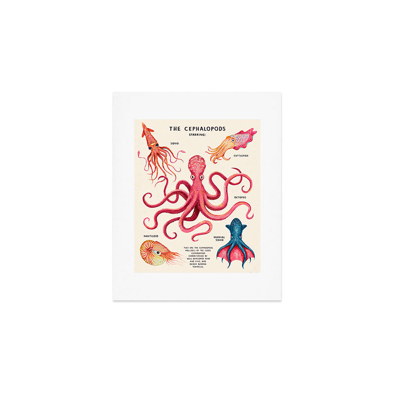 THE CEPHALOPODS Art Print Gallery Image 1