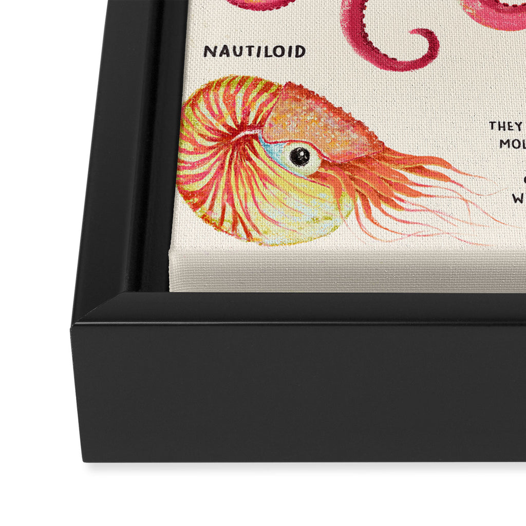 THE CEPHALOPODS Framed Canvas Print Gallery Image 3