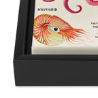 THE CEPHALOPODS Framed Canvas Print Gallery Image 3