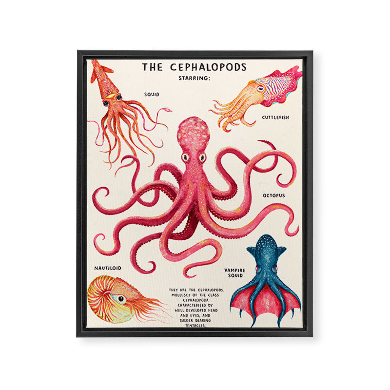 THE CEPHALOPODS Framed Canvas Print Gallery Image 6