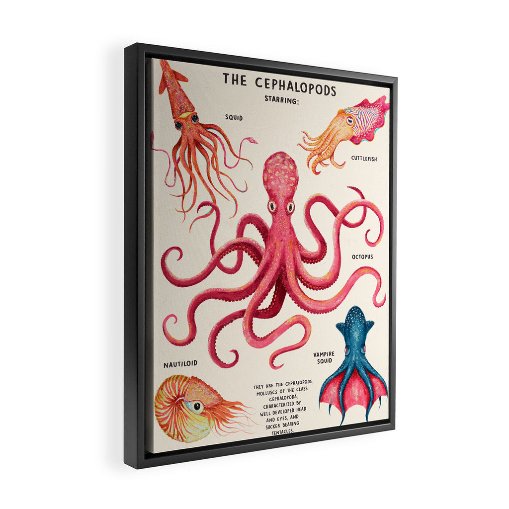 THE CEPHALOPODS Framed Canvas Print Gallery Image 2