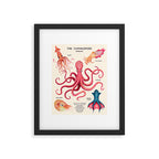 THE CEPHALOPODS Framed Art Print Gallery Image 5