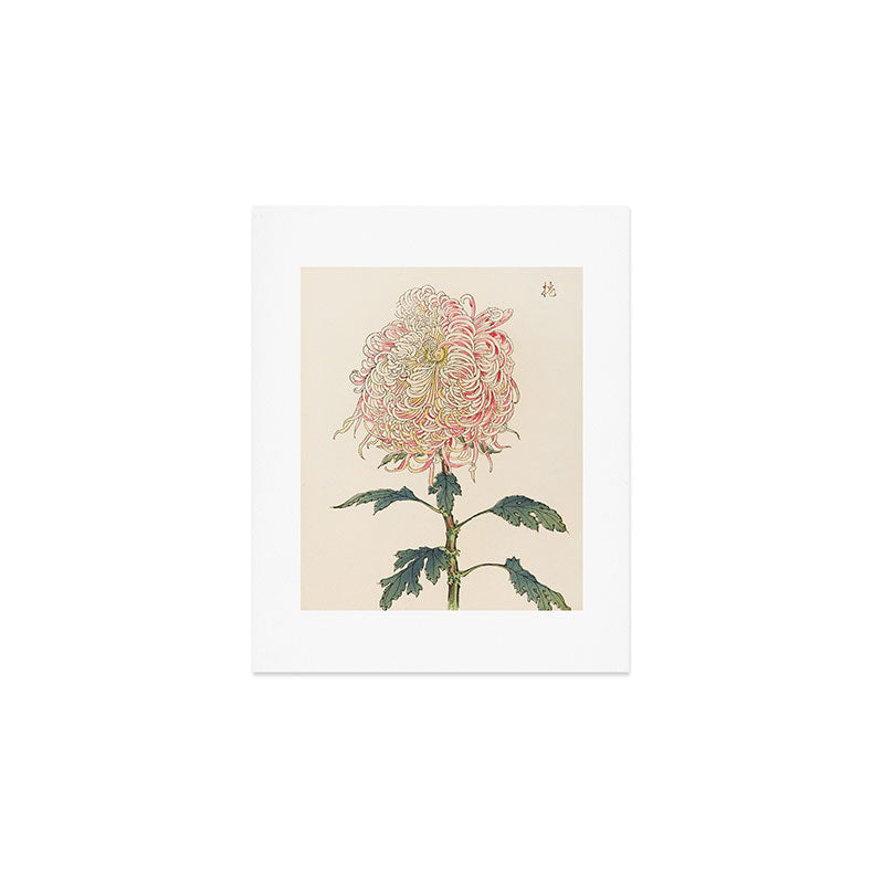 Japanese Chrysanthemum Woodblock Print #5 Art Print Gallery Image 1