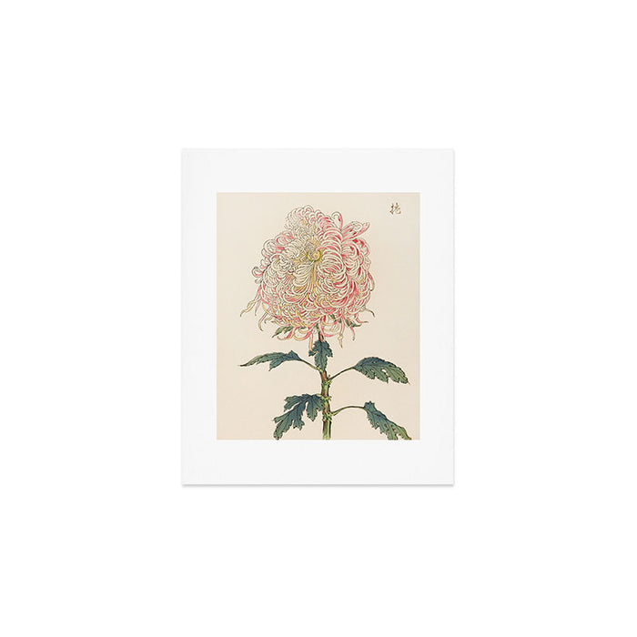 Japanese Chrysanthemum Woodblock Print #5 Art Print Gallery Image 1