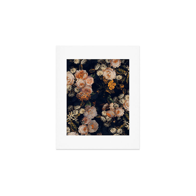 Antique Botanical Peach Roses And Chamomile Midnight Garden Art Print Gallery Image 1
