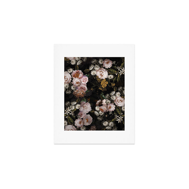 Antique Botanical Roses And  Chamomile Midnight Garden Art Print Gallery Image 1