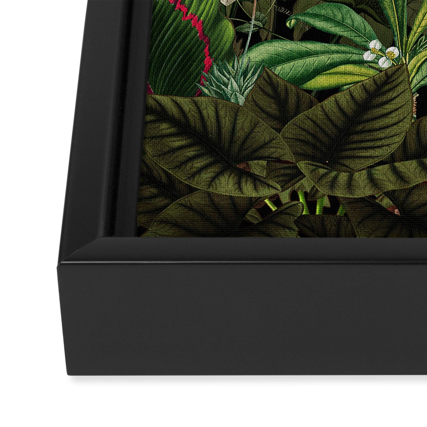 Midnight Vintage Exotic Flower And Birds Garden Jungle Framed Canvas Print Gallery Image 3