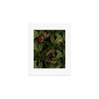 Monkey Vintage Botanical Night Jungle Garden Art Print Gallery Image 1
