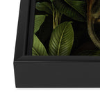 Monkey Vintage Botanical Night Jungle Garden Framed Canvas Print Gallery Image 3