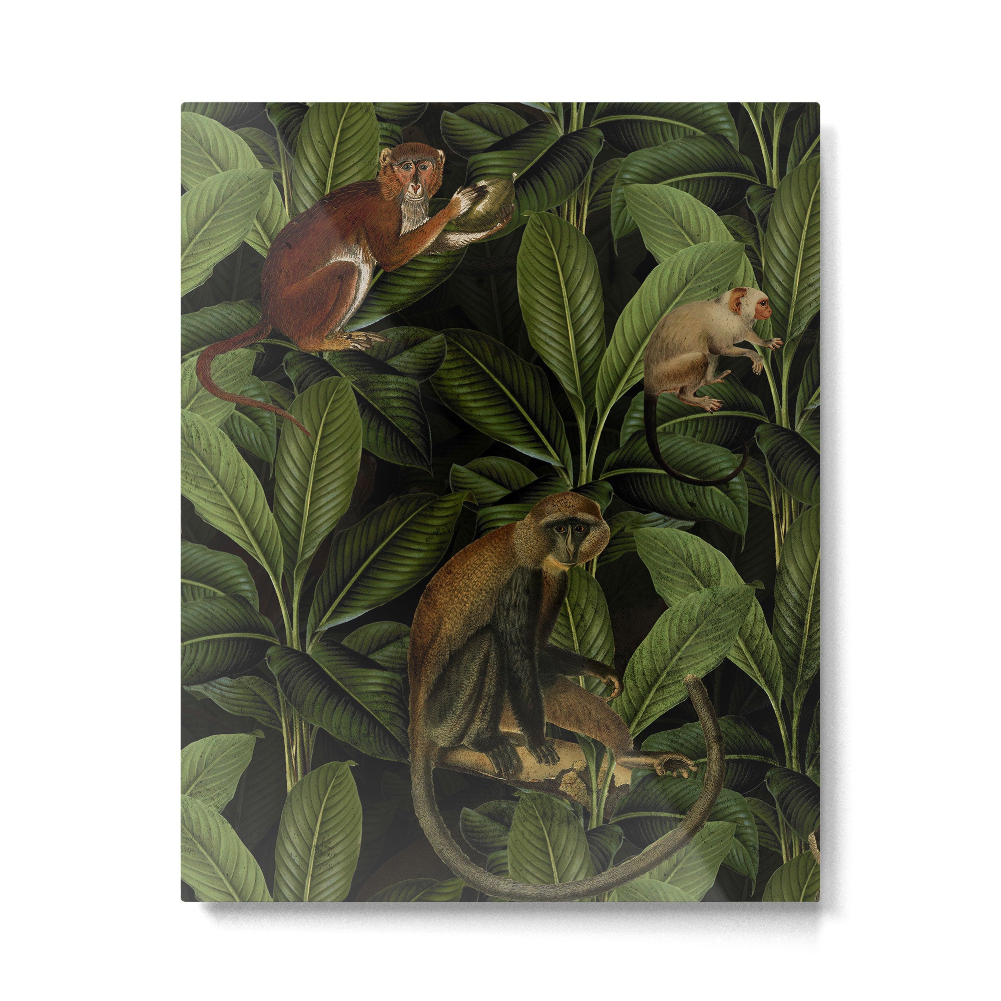 Monkey Vintage Botanical Night Jungle Garden Metal Print Gallery Image 6