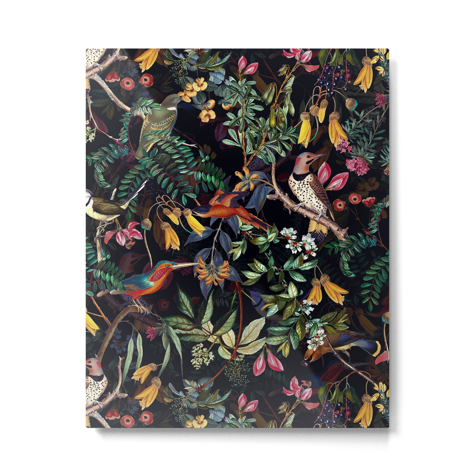 Vintage Jungle Birds Night Garden Metal Print Gallery Image 6