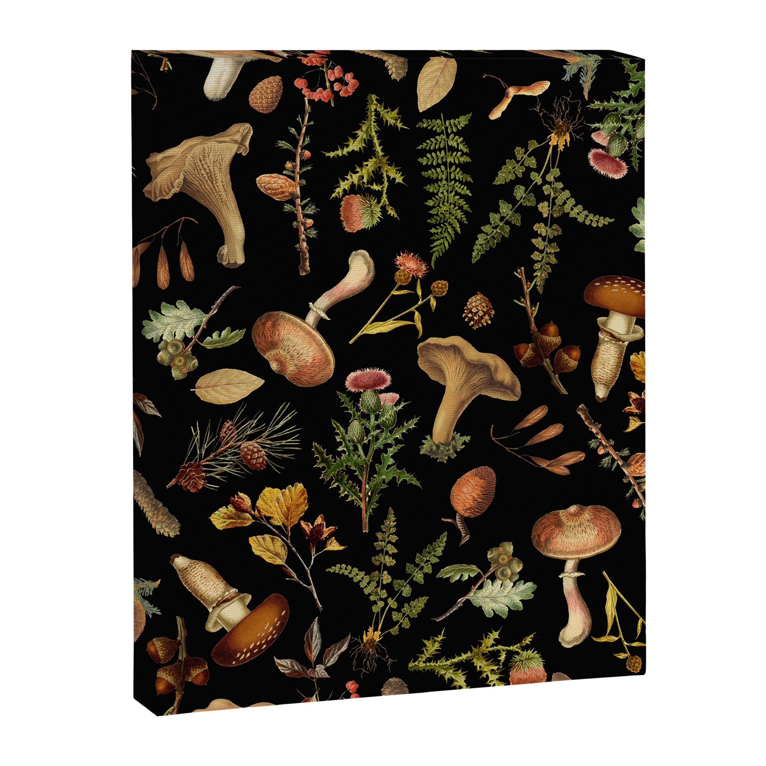 Vintage Mushroom Fungi Night Forest Botanical Garden Canvas Print Gallery Image 8
