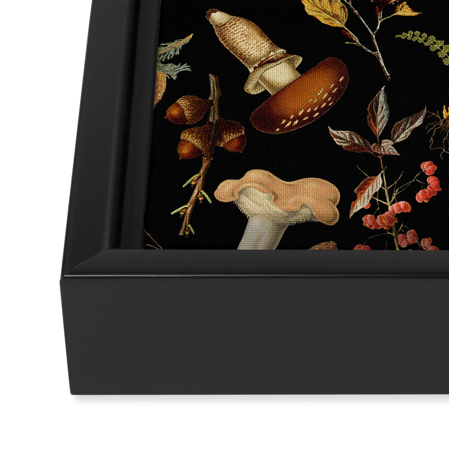 Vintage Mushroom Fungi Night Forest Botanical Garden Framed Canvas Print Gallery Image 3