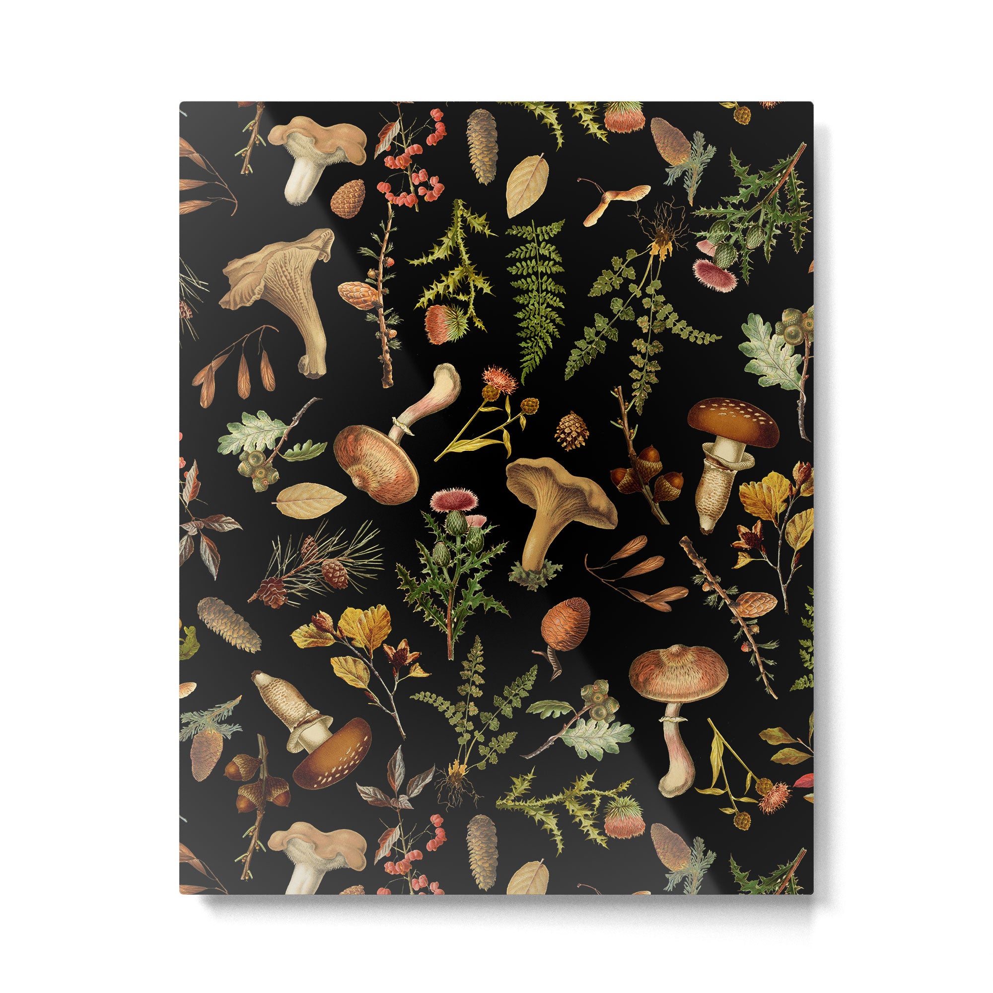 Vintage Mushroom Fungi Night Forest Botanical Garden Metal Print Gallery Image 6