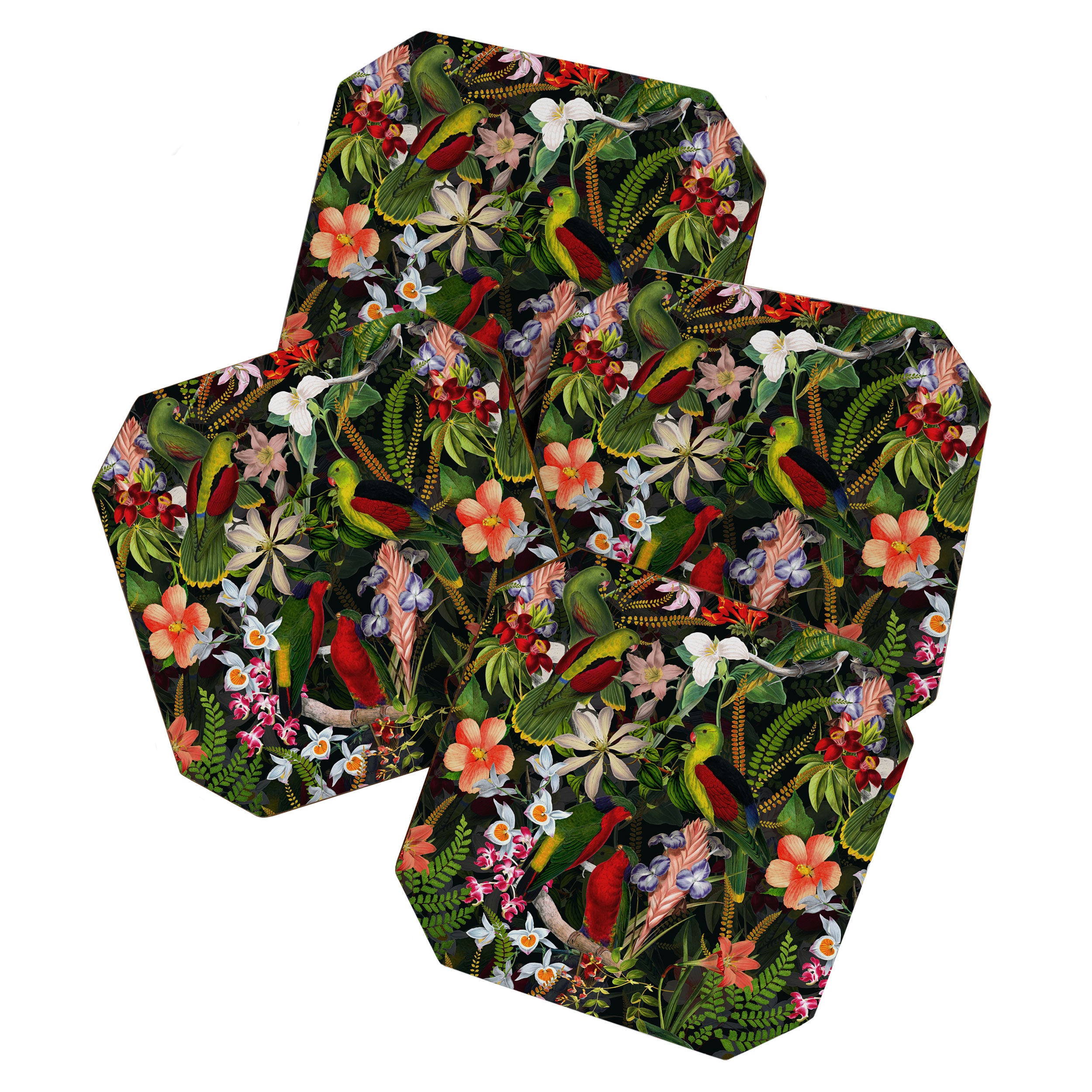 Vintage & Shabby Chic - Black Tropical Parrot Night Garden Coaster Gallery Image 1