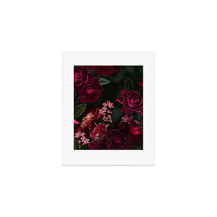 Vintage & Shabby Chic - Night Botanical Flower Roses Garden Art Print Gallery Image 1