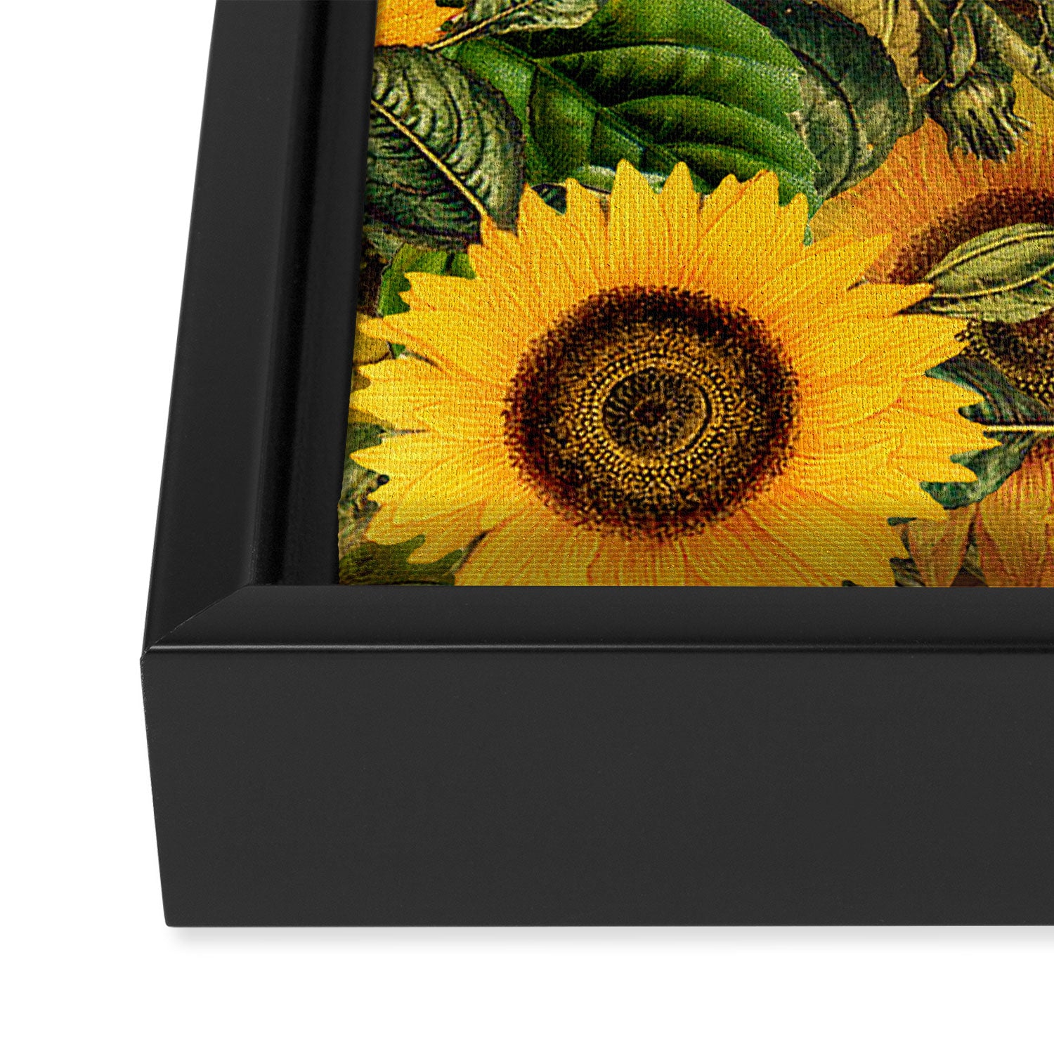 Vintage & Shabby Chic - Noon Sunflowers Garden Framed Canvas Print Gallery Image 3