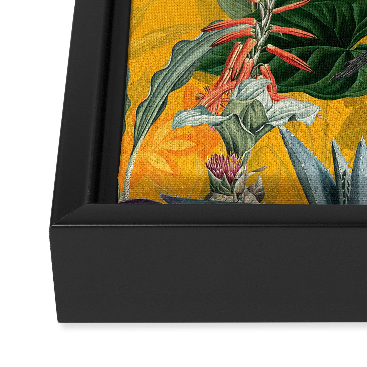 Vintage & Shabby Chic - Sunny Tropical Garden Blue Heron Framed Canvas Print Gallery Image 3