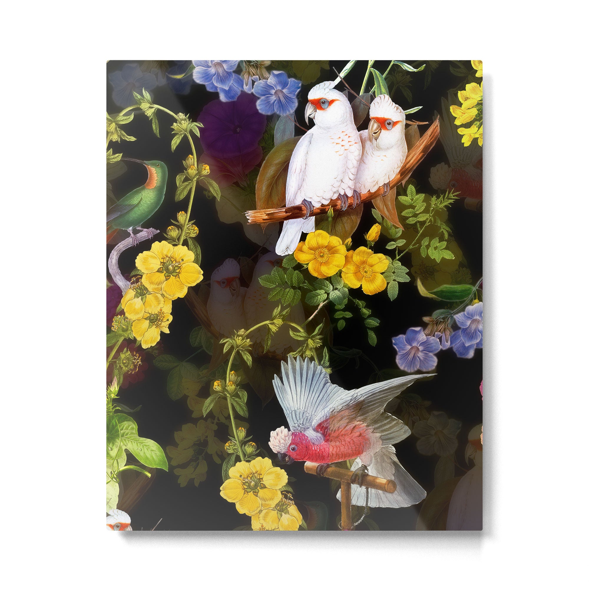Vintage & Shabby Chic - Tropical Night Bird Flower Garden Metal Print Gallery Image 6