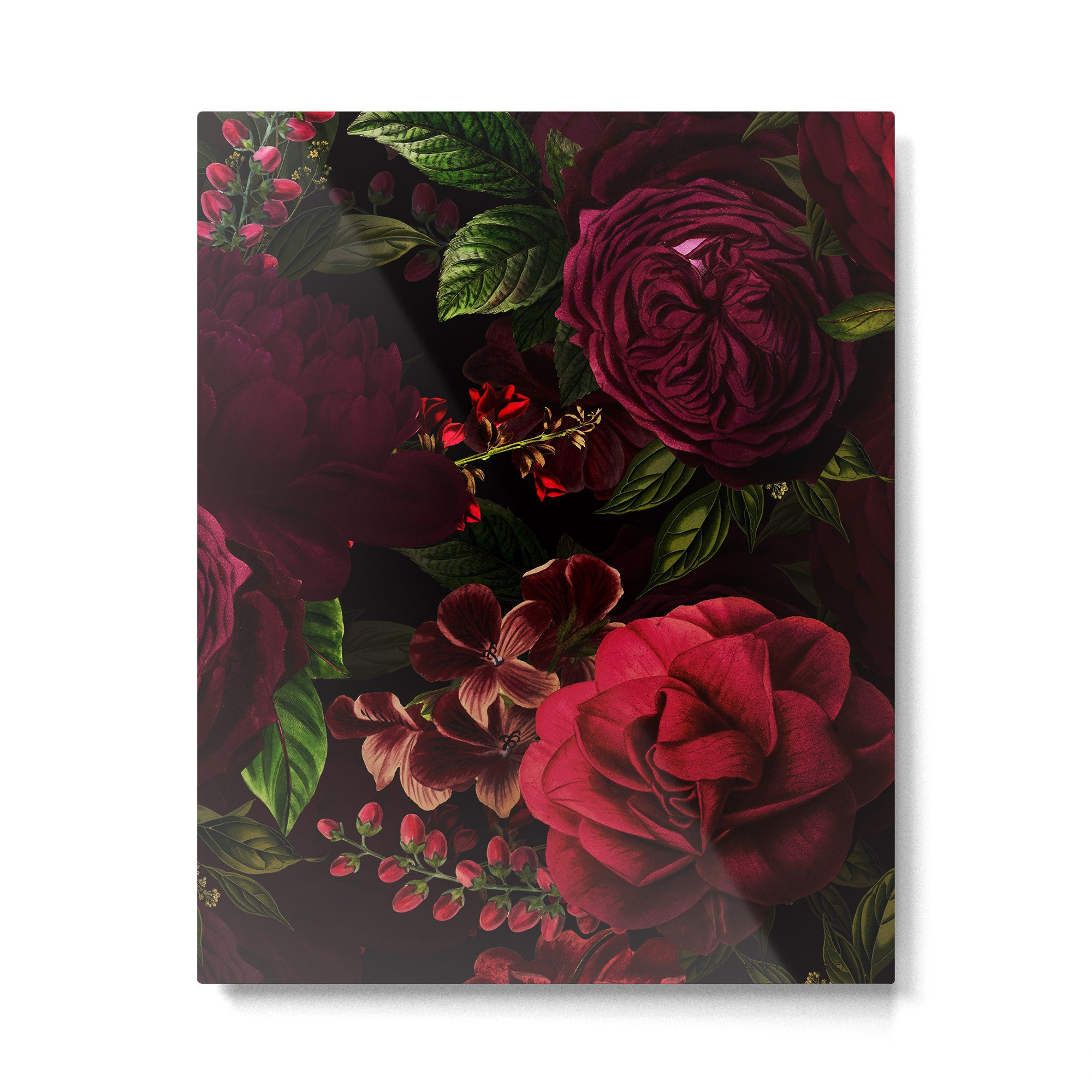 Vintage & Shabby Chic - Vintage & Shabby Chic - Mystical Night Roses Metal Print Gallery Image 6