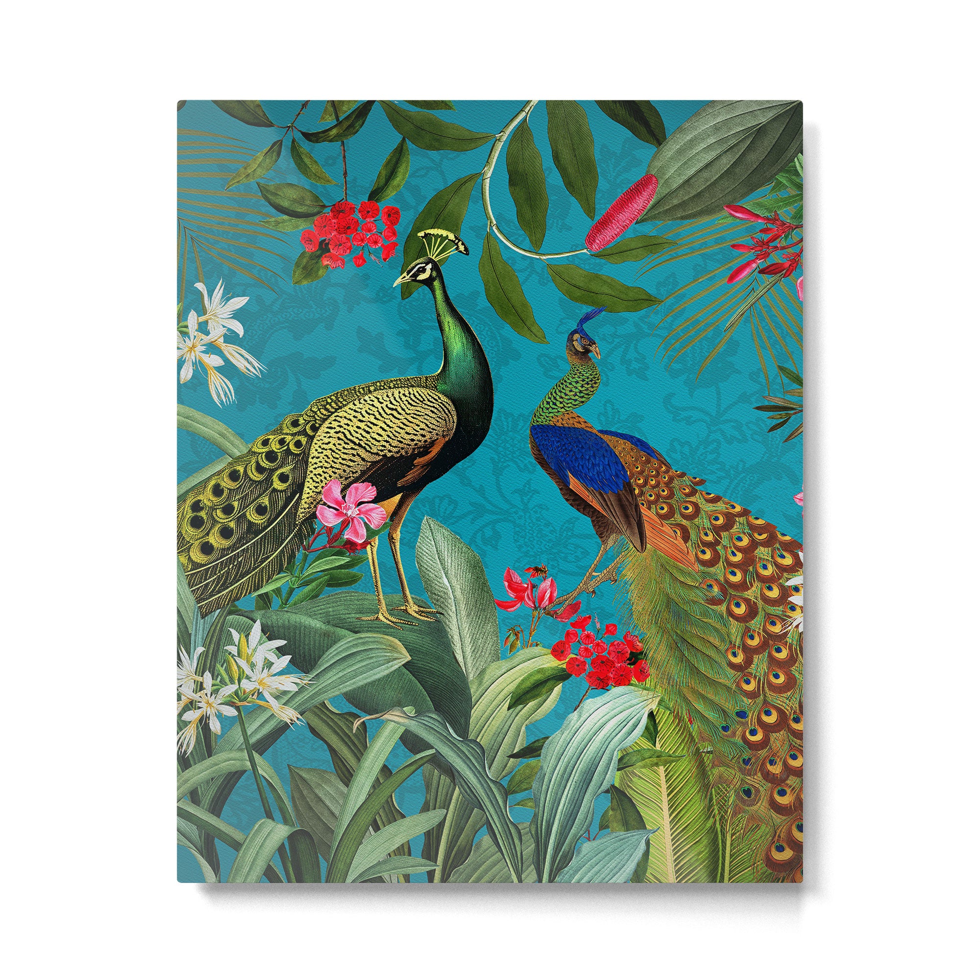 Vintage Tropical Peacock Bird Rainforest Jungle  Metal Print Gallery Image 6