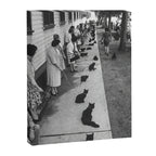 Cat Audition, Black and White, Vintage Art Canvas Print Gallery Image 6