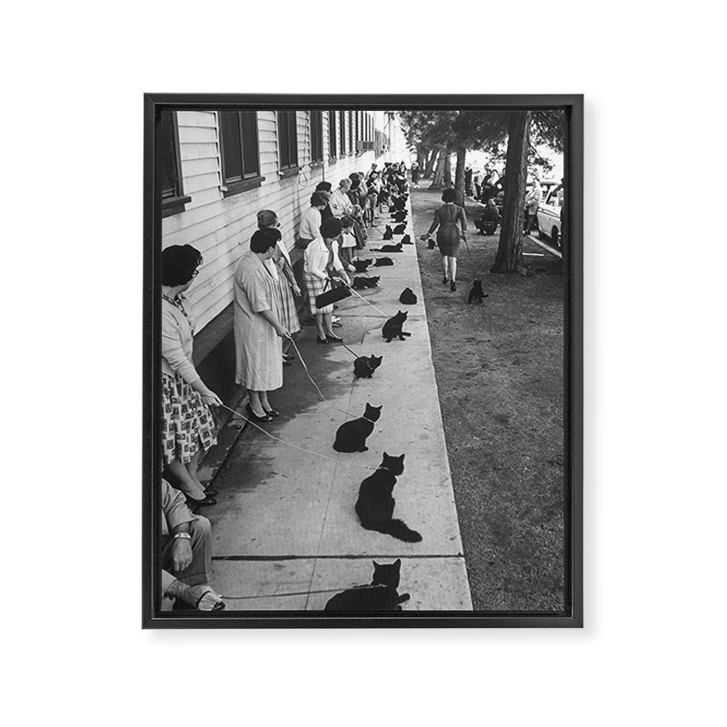 Cat Audition, Black and White, Vintage Art Framed Canvas Print Gallery Image 6