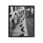 Cat Audition, Black and White, Vintage Art Framed Canvas Print Gallery Image 6