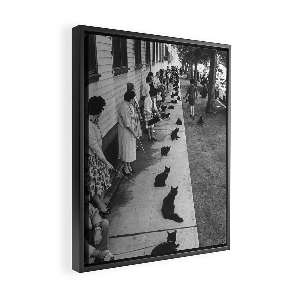 Cat Audition, Black and White, Vintage Art Framed Canvas Print Gallery Image 2