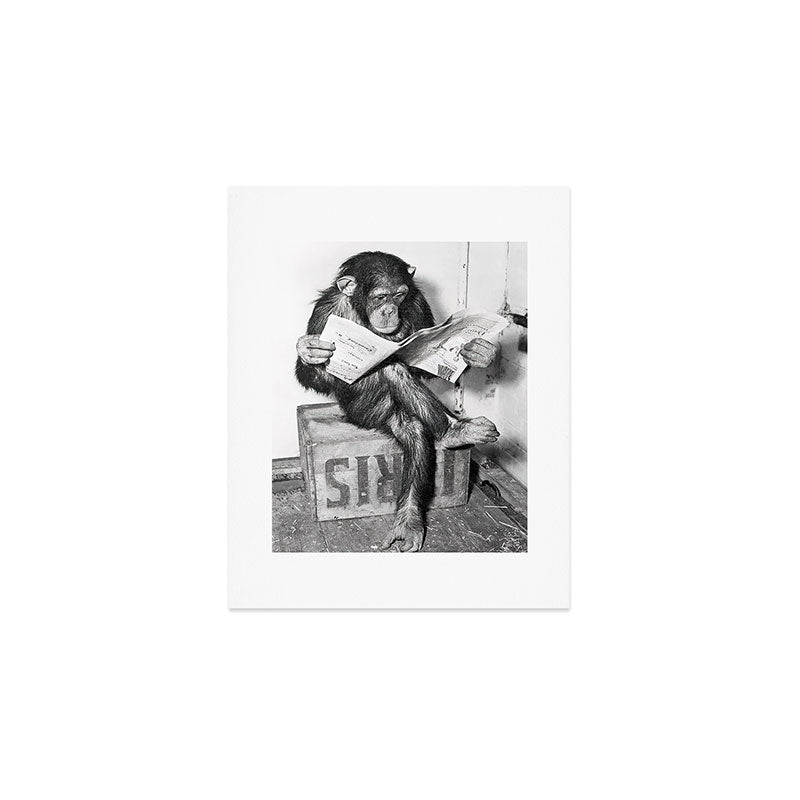 Chimpanzee Reading Newspaper, Black and White Vintage Art Art Print Gallery Image 1