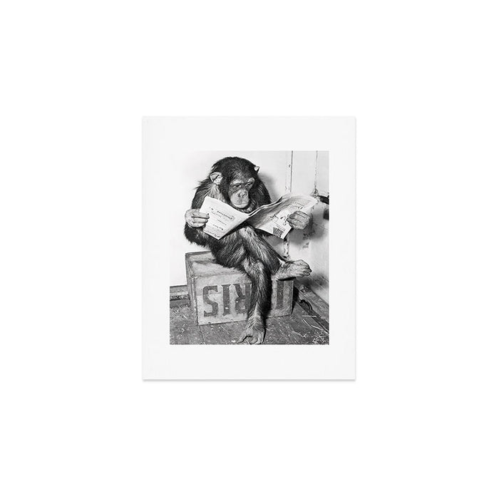 Chimpanzee Reading Newspaper, Black and White Vintage Art Art Print Gallery Image 1