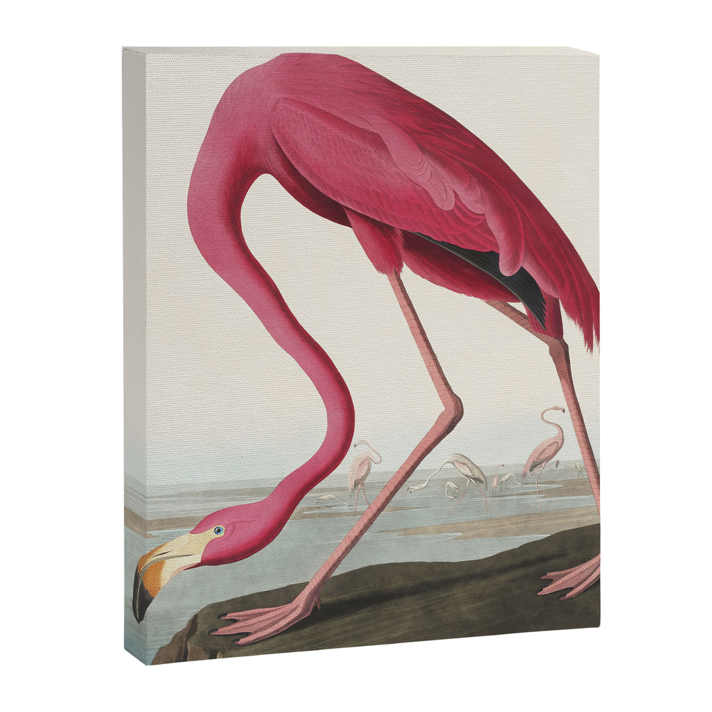 Pink Flamingo Vintage Art Canvas Print Gallery Image 6