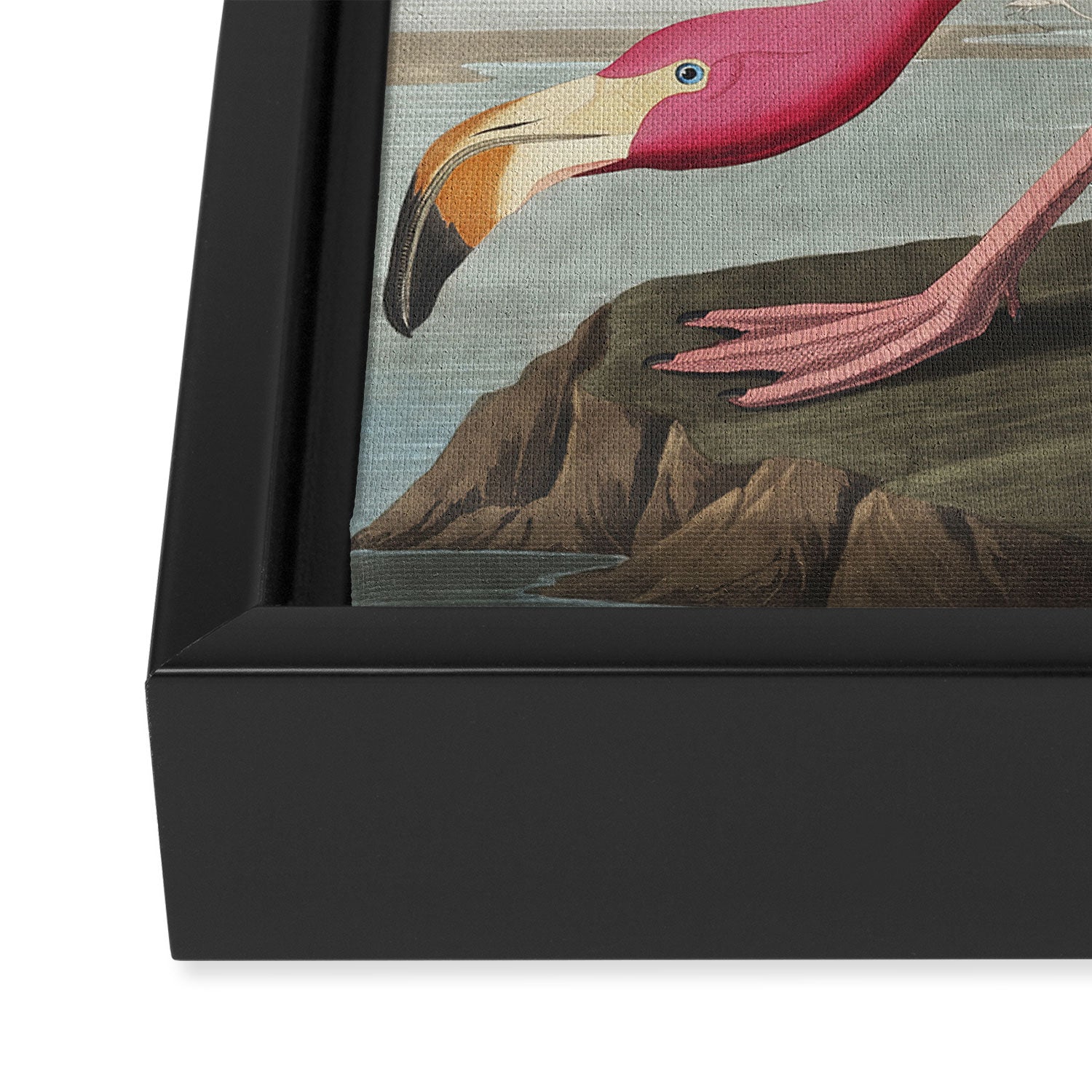 Pink Flamingo Vintage Art Framed Canvas Print Gallery Image 3