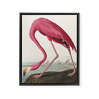 Pink Flamingo Vintage Art Framed Canvas Print Gallery Image 6
