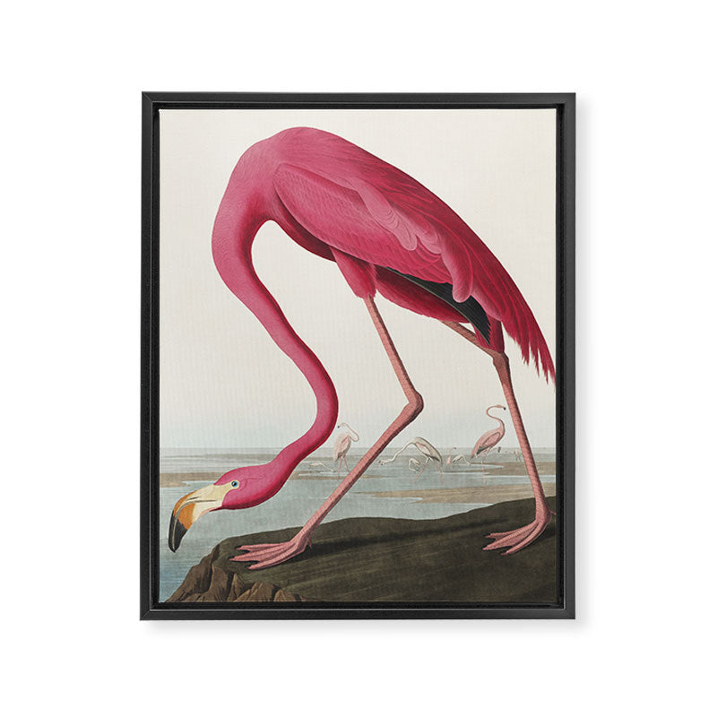 Pink Flamingo Vintage Art Framed Canvas Print Gallery Image 6