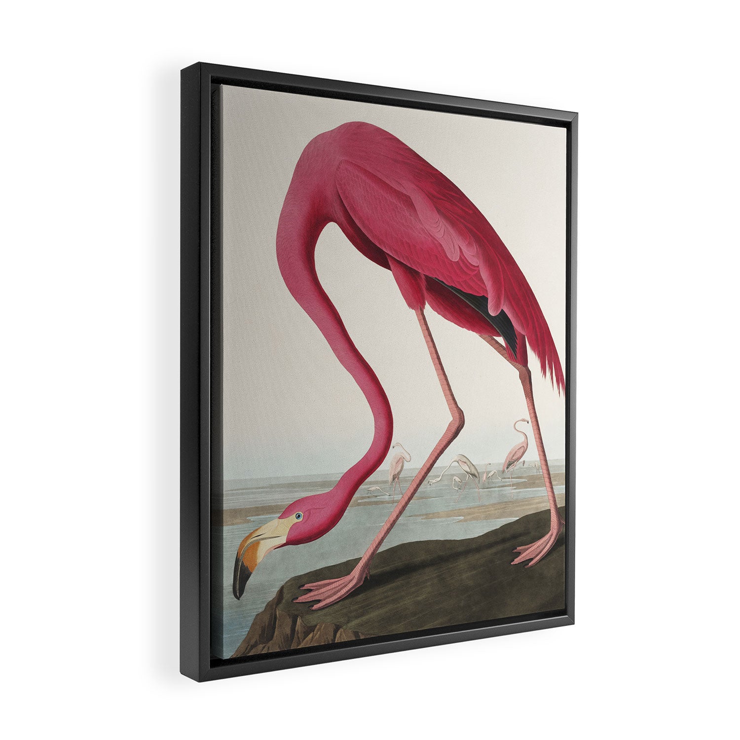 Pink Flamingo Vintage Art Framed Canvas Print Gallery Image 2