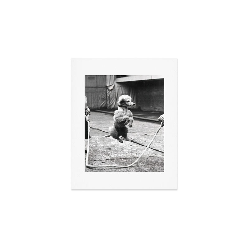 Poodle Jumping Rope, Black and White, Vintage Art Art Print Gallery Image 1